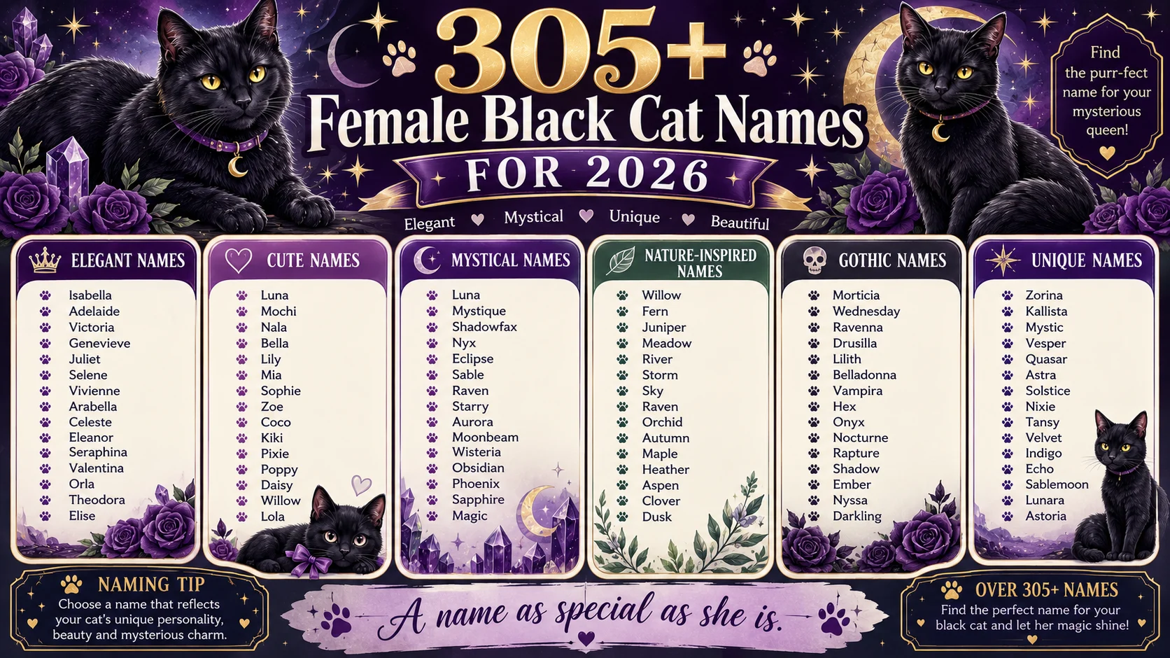 names for black cats female