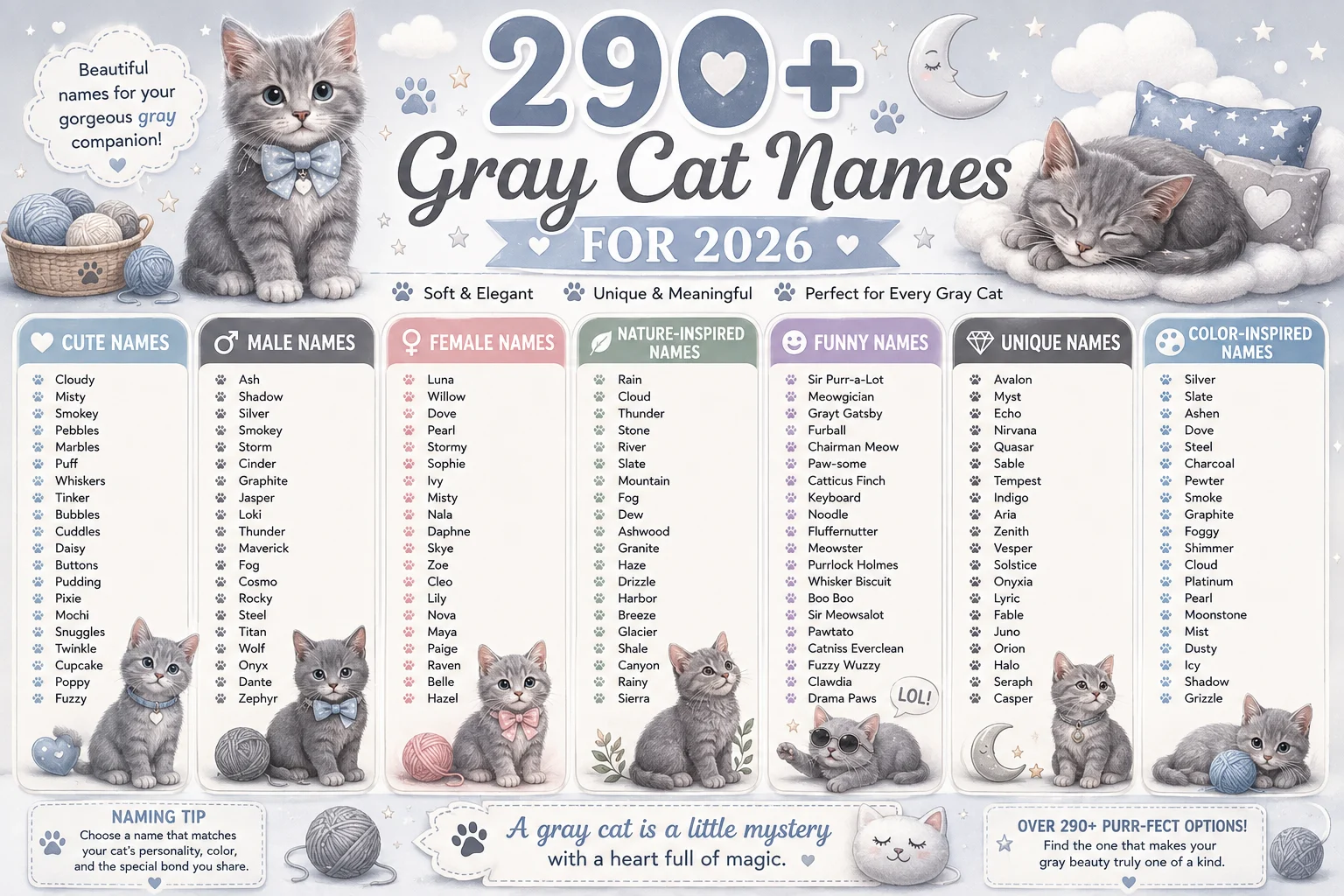 names for gray cats